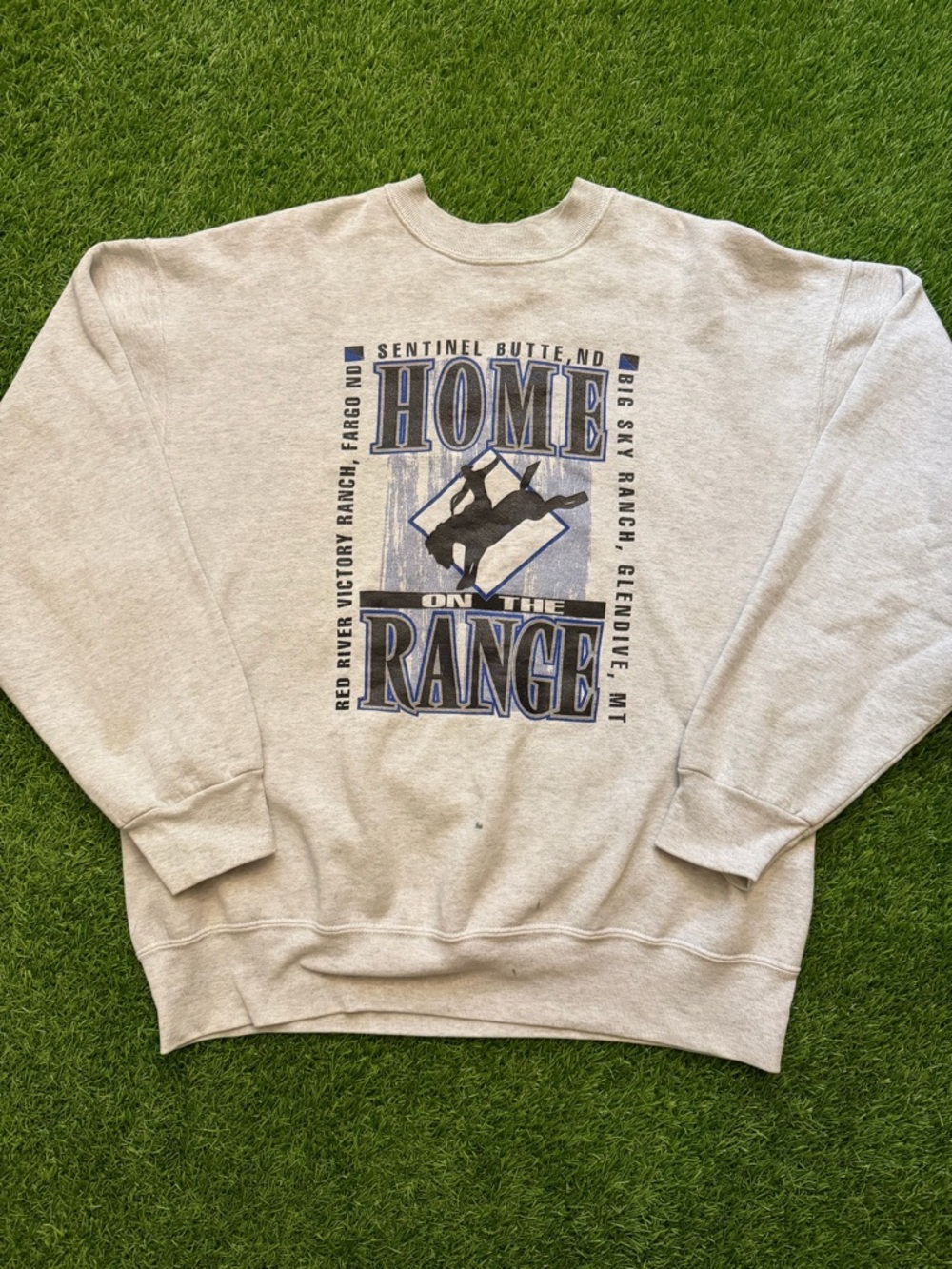 Vintage Fruit of the Loom crewneck sweater